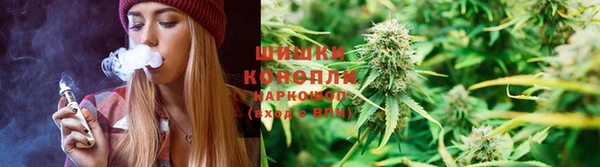 молекула духа Михайлов