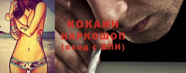 молекула духа Михайлов