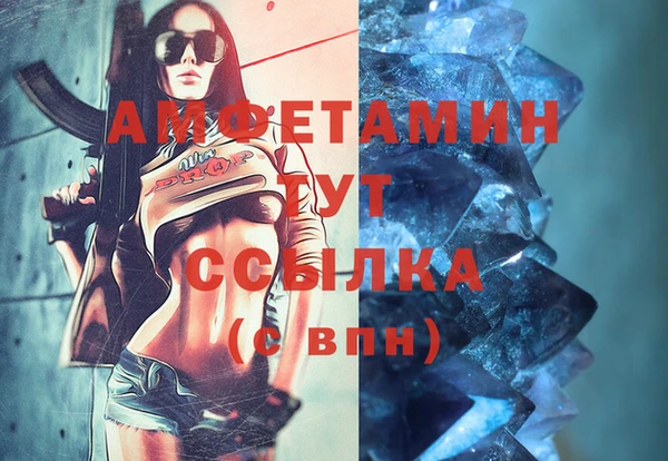 молекула духа Михайлов