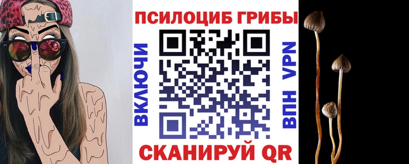 Псилоцибиновые грибы GOLDEN TEACHER  площадка состав  Юхнов 